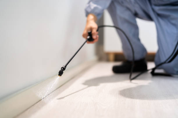 Licensed Pest Control service in San Luis Obispo, CA - Show Me Pest Control