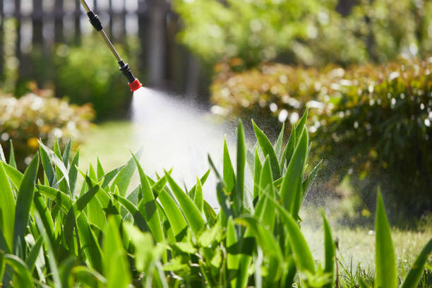 Tamper-Resistant Bait Stations for Rodents in San Luis Obispo