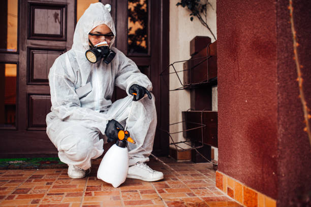 Attic and Crawl Space Rodent Treatment in San Luis Obispo
