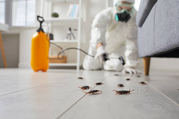 Commercial Rodent Management in San Luis Obispo